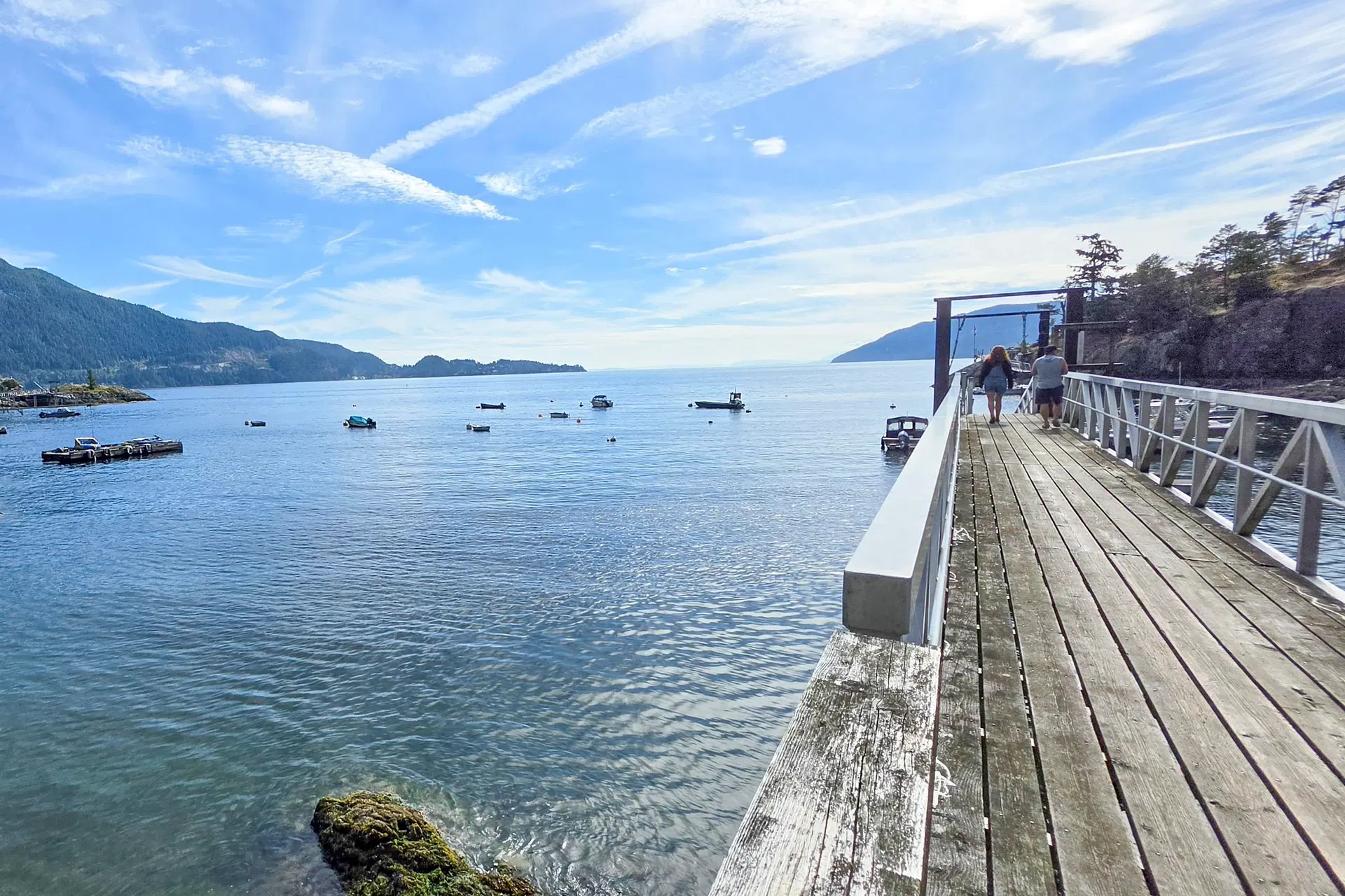 SITE 8 – SC 122 Bowyer Island Estates