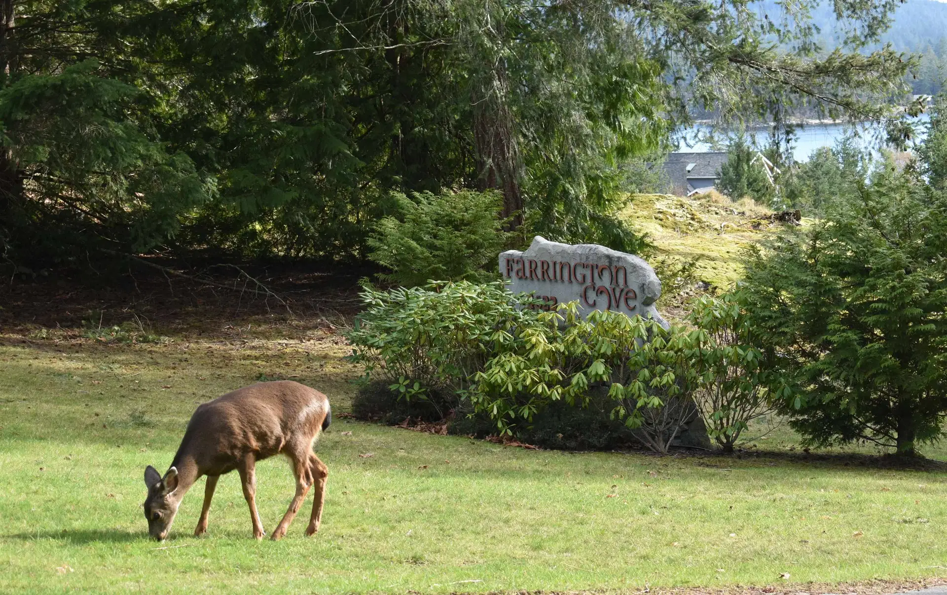 #7 – 4622 Sinclair Bay Road