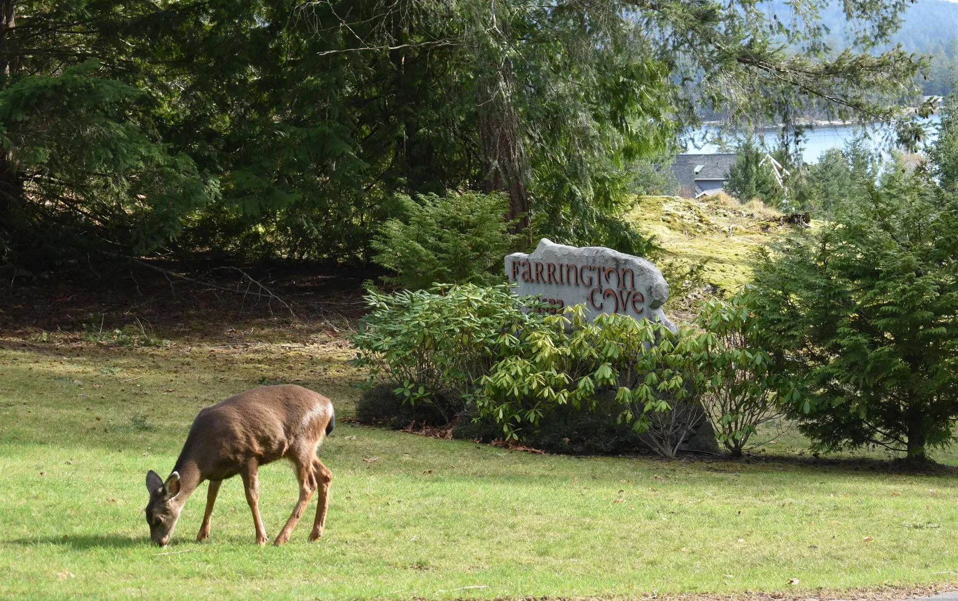 Photo 1 of 19 at #7 – 4622 Sinclair Bay Road