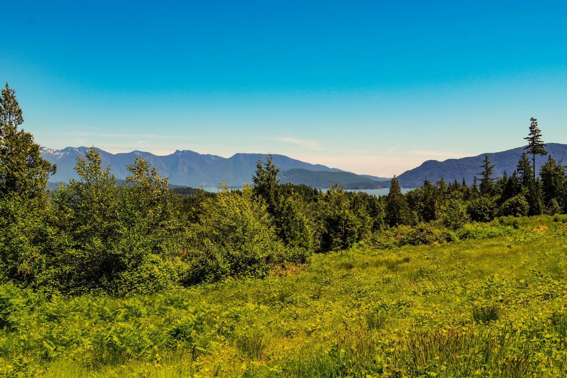 Photo 1 of 18 at LOT I Panorama Parkway