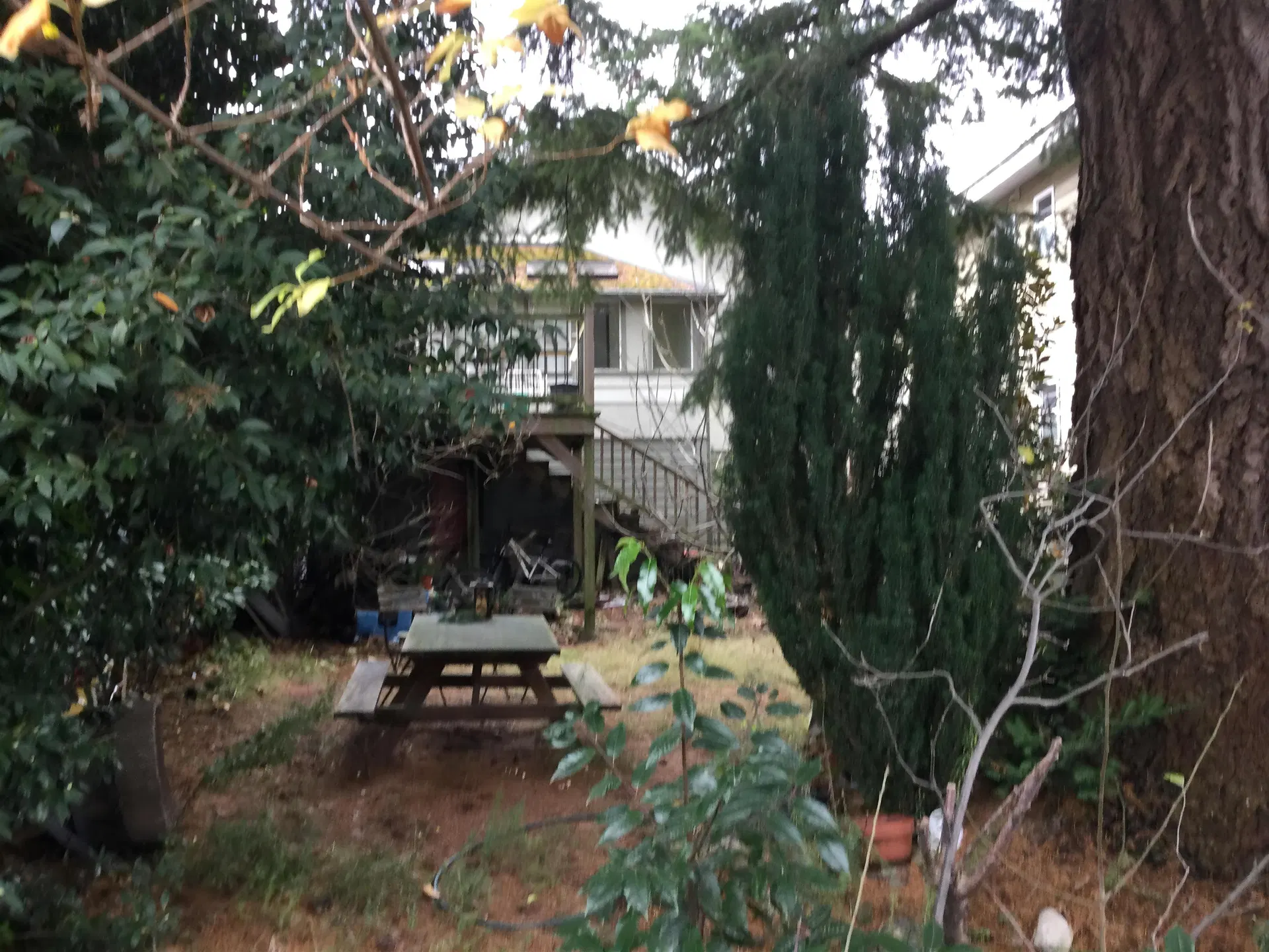 Photo 5 of 5 at 8479 Selkirk Street