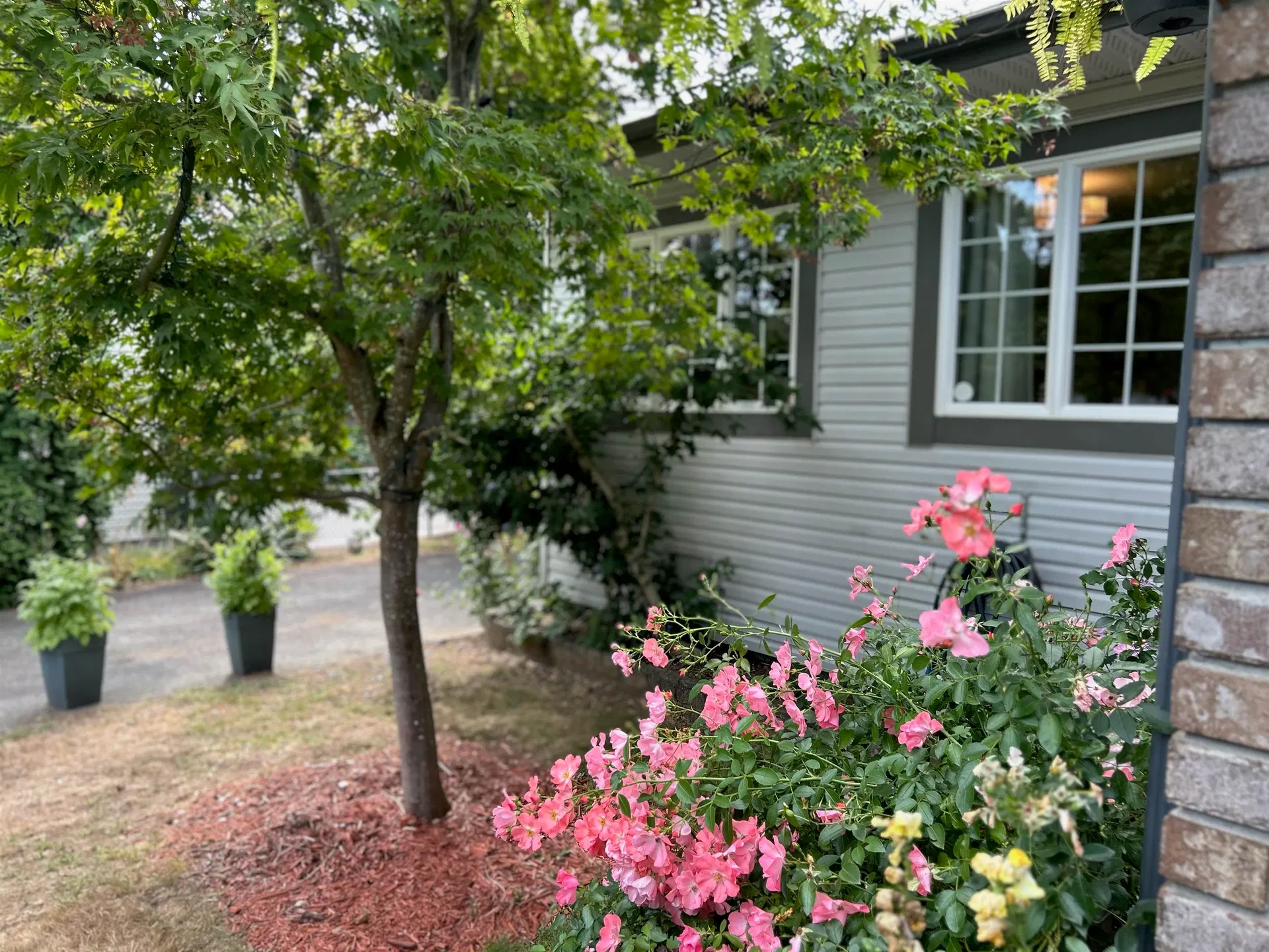 Photo 5 of 26 at 7597 Wren Street