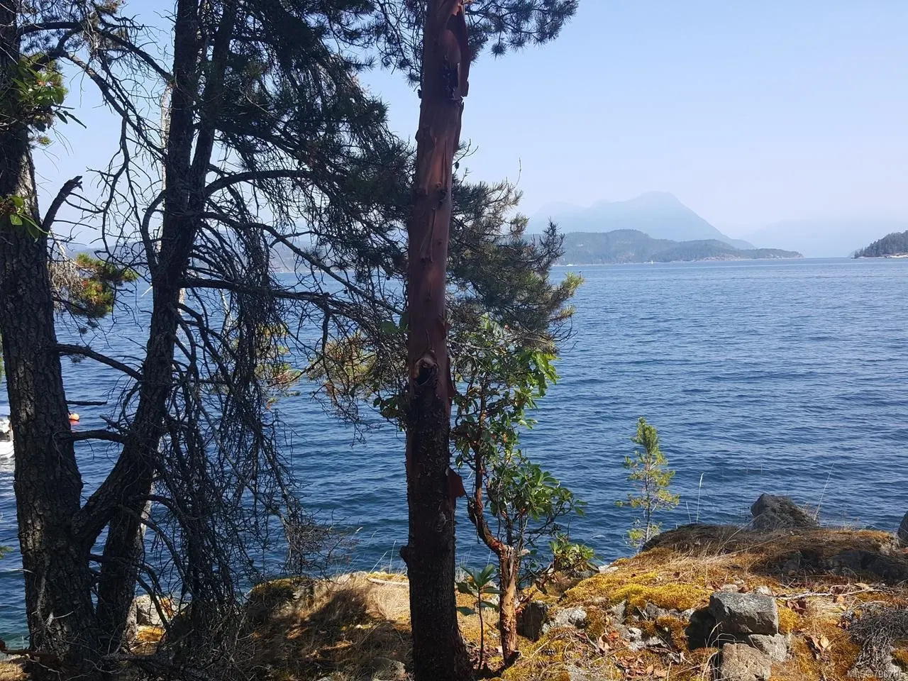 Photo 4 of 21 at SITE 6 – 1846 Tiber Bay Road