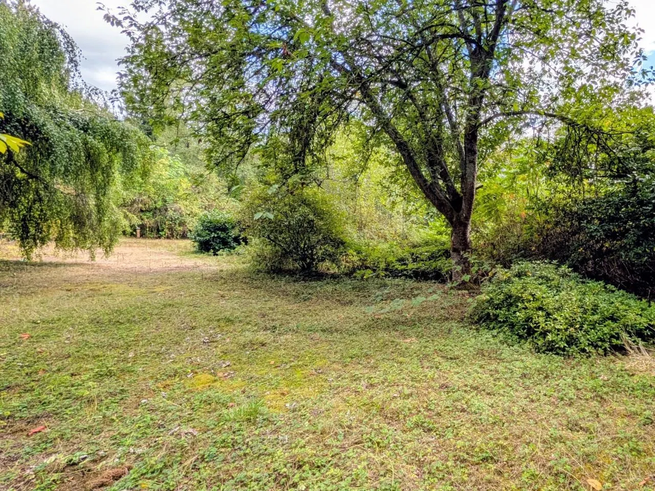 Photo 5 of 23 at 17118 96 Avenue