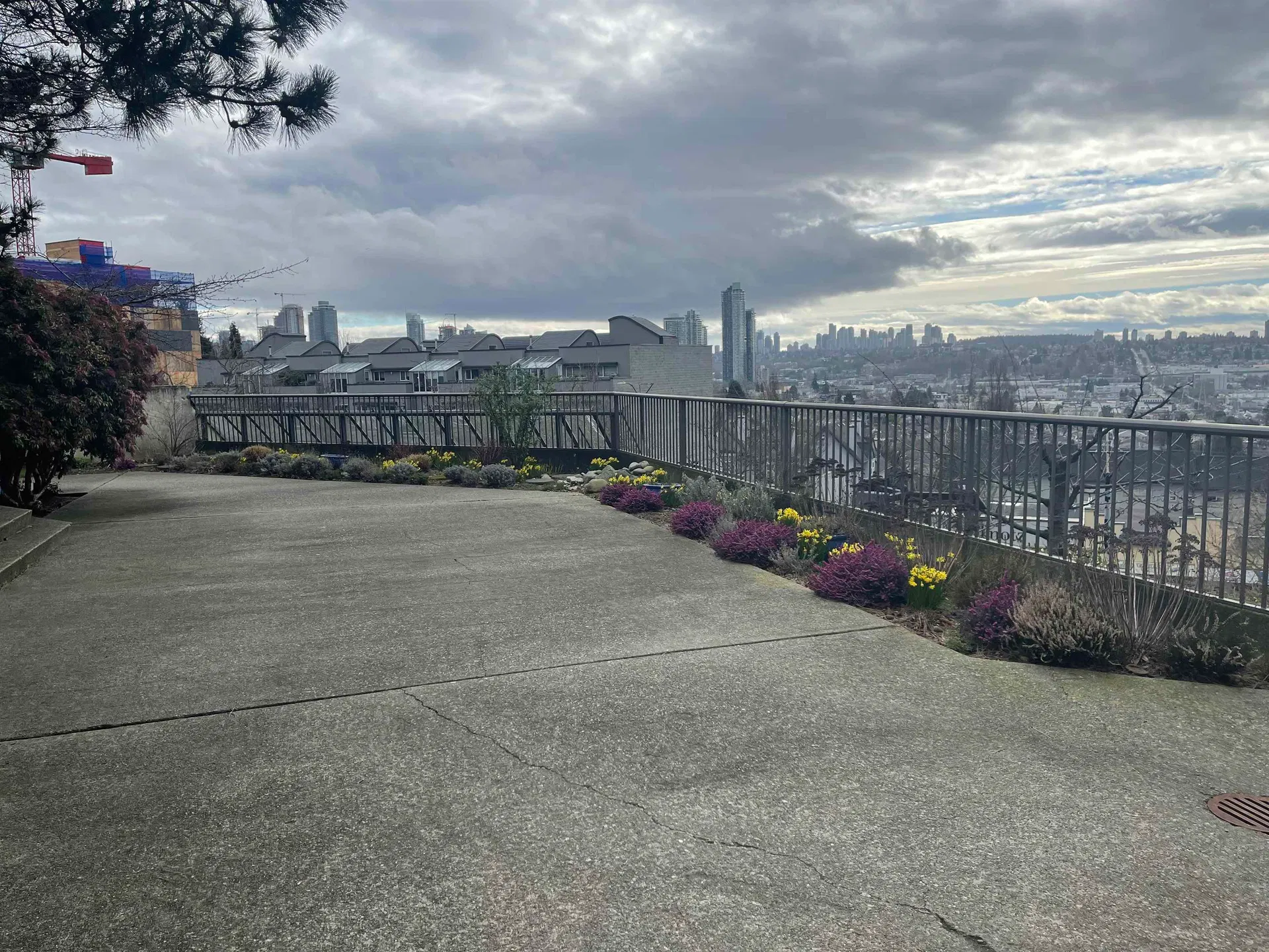 Photo 4 of 19 at #206 – 3760 Albert Street