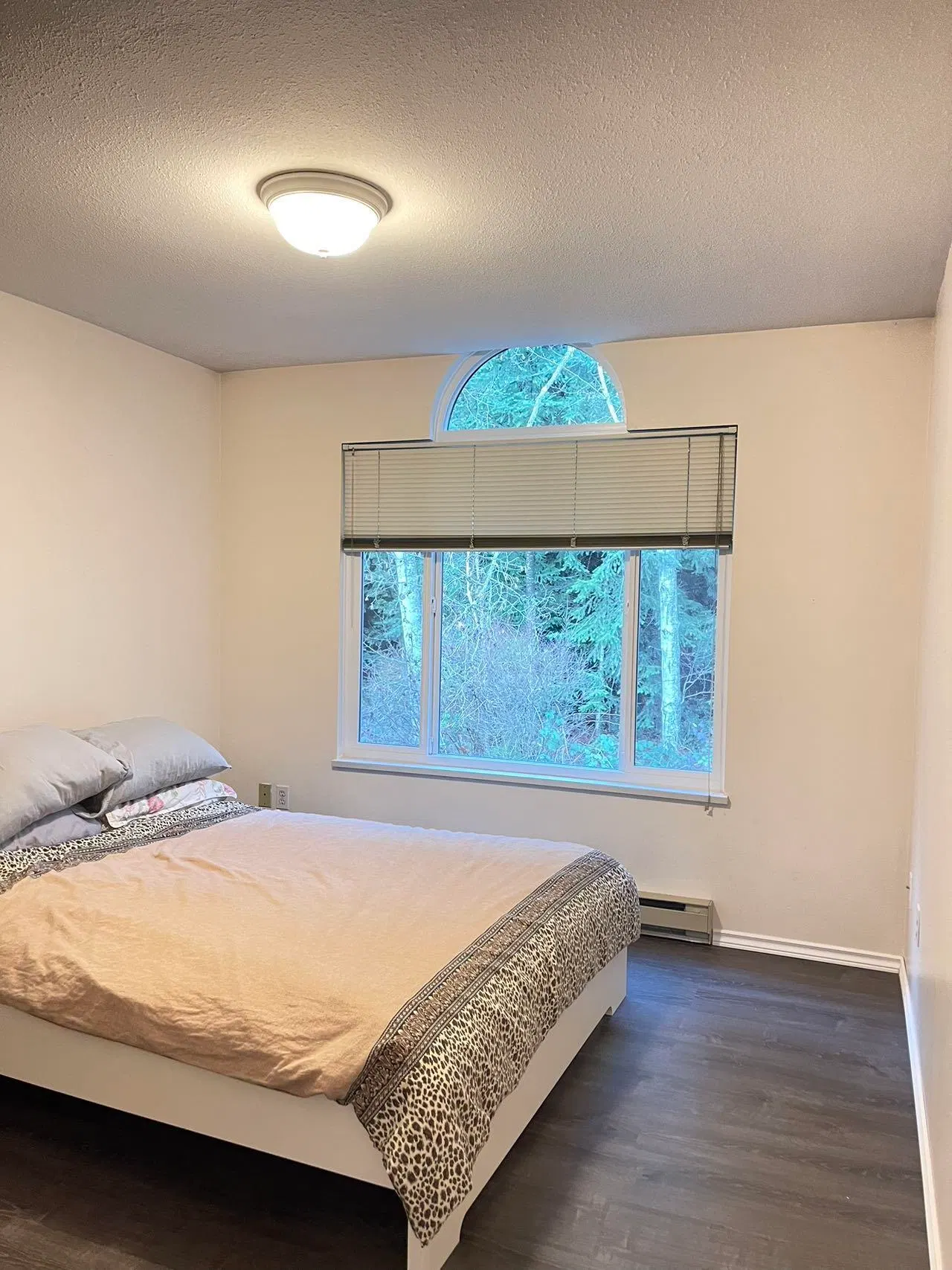 Photo 5 of 11 at 2736 Atlin Place