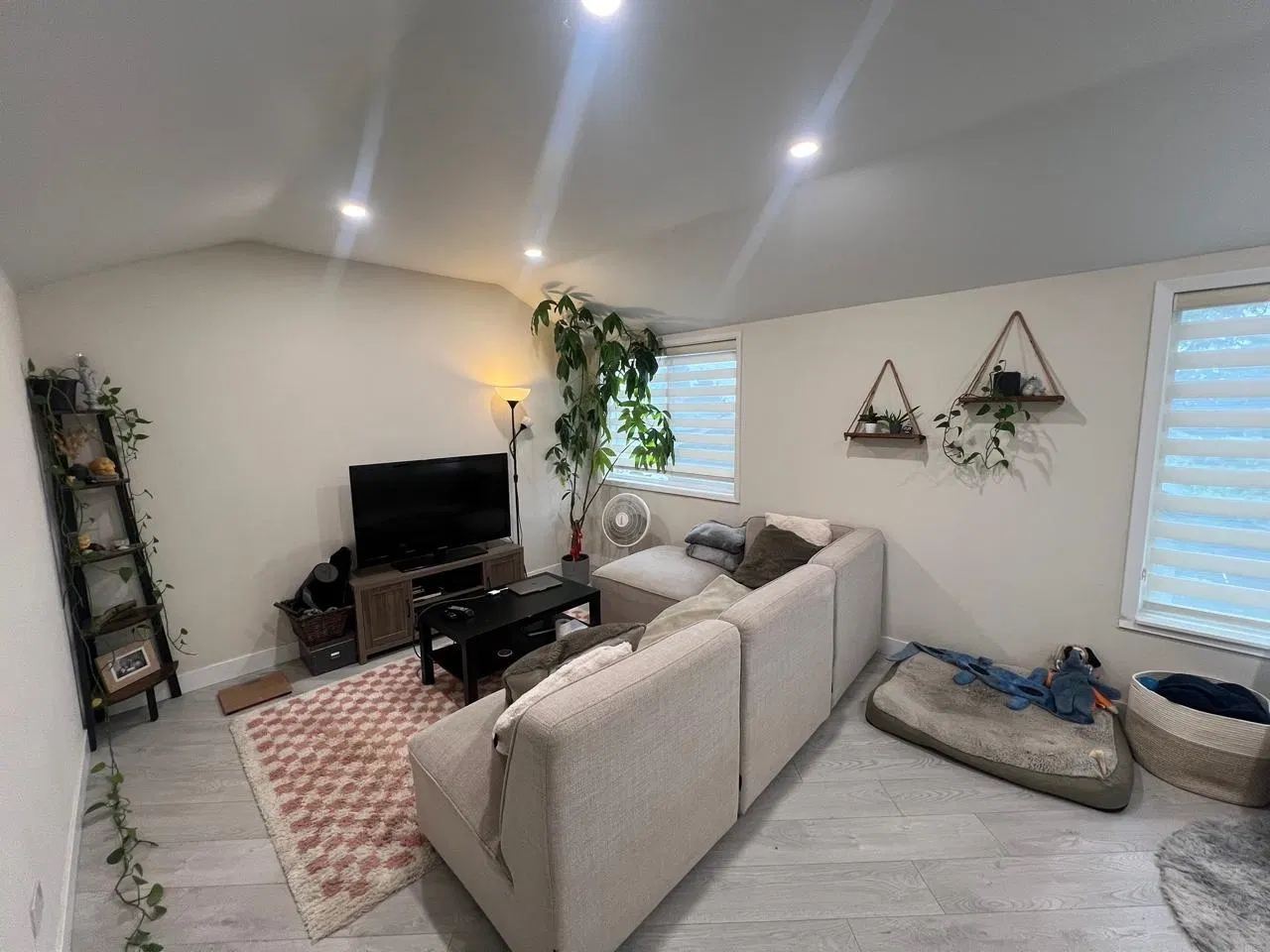 560 Springer Avenue
