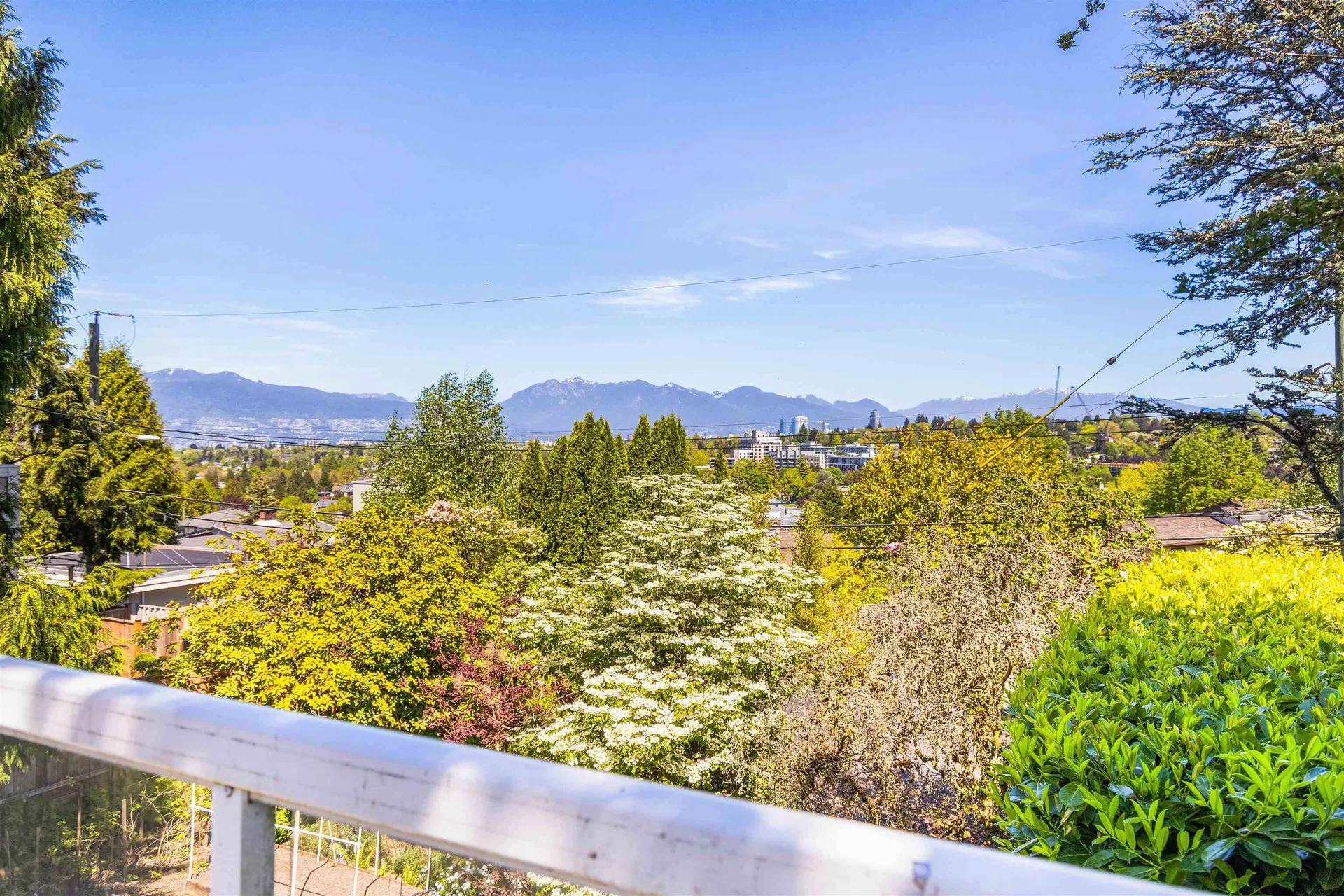 Photo 1 of 27 at 4888 Narvaez Drive