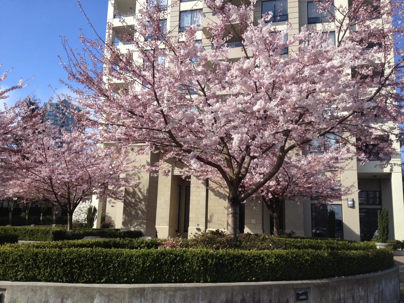 Photo 1 of 2 at #307 – 4333 Central Boulevard