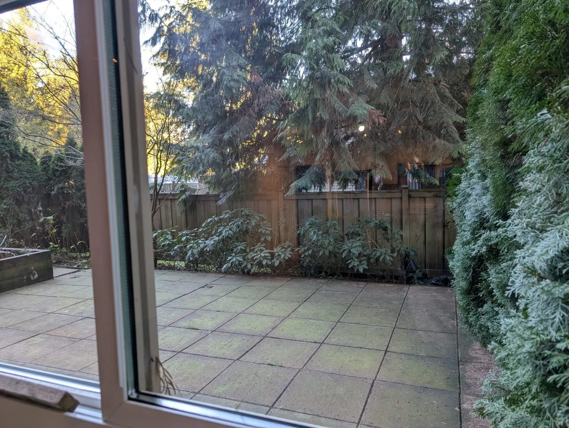 Photo 5 of 14 at #103 – 1152 Windsor Mews