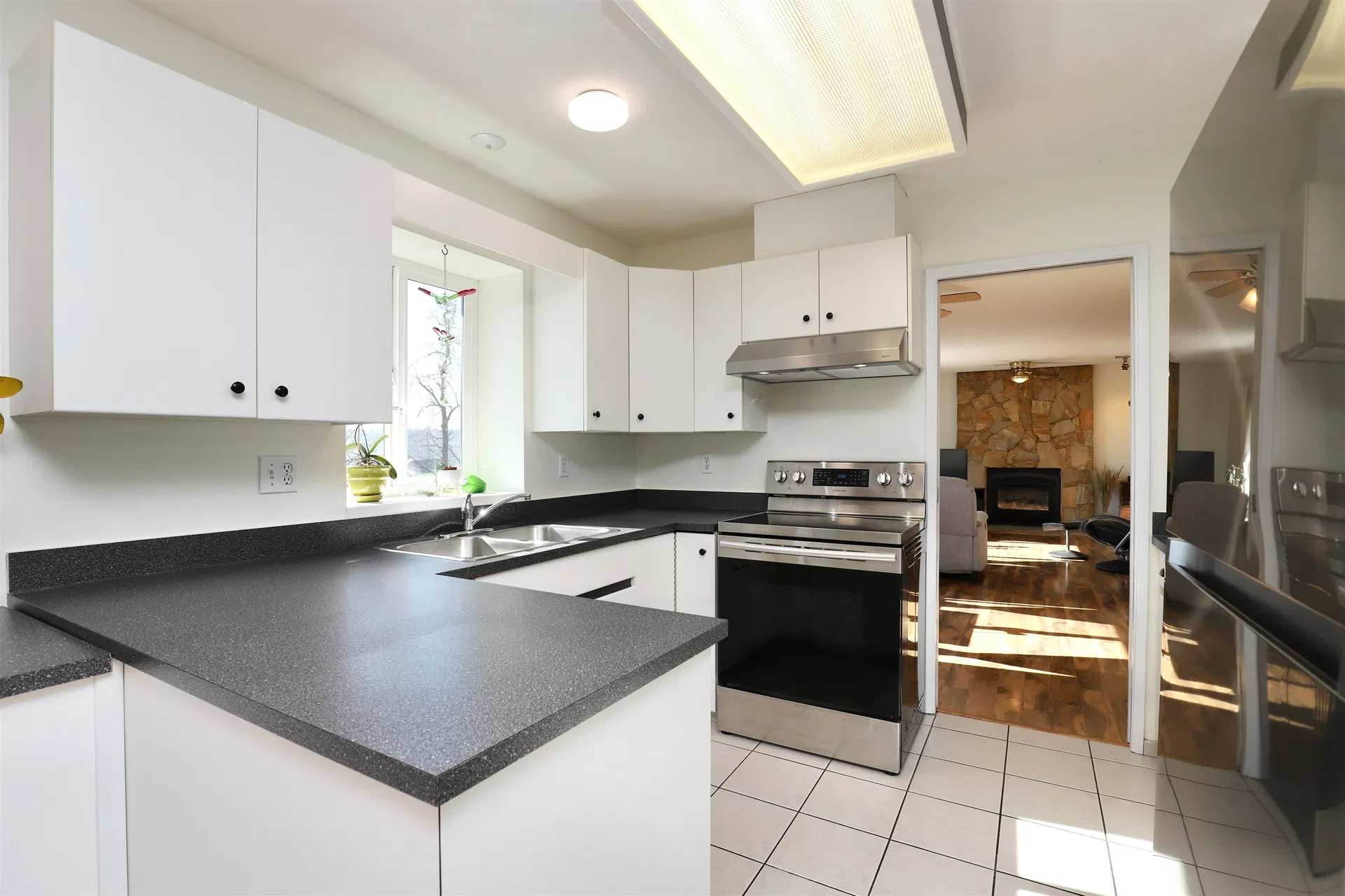 Photo 3 of 40 at 93 Warrick Street